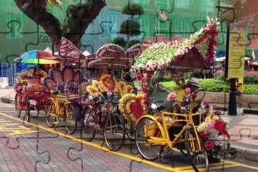 Colorful Bike transportation  Malaysia