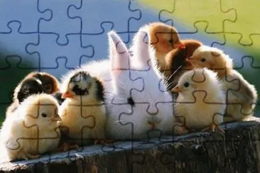 - amizade. jigsaw puzzle