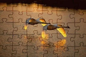 - jÃ³ia. jigsaw puzzle