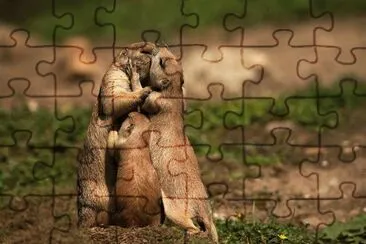 - beijo,(2) jigsaw puzzle