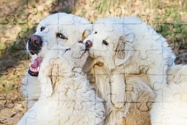 - beijo-animal-4 jigsaw puzzle