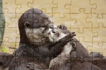 beijo-animal-9 jigsaw puzzle