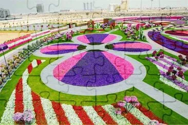 Miracle Garden  Dubai jigsaw puzzle