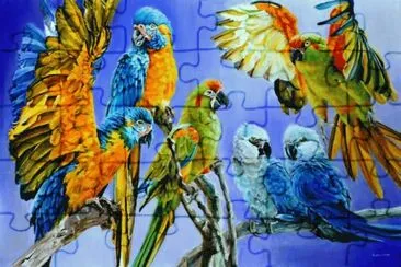 araras jigsaw puzzle