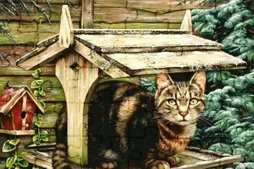 gato jigsaw puzzle