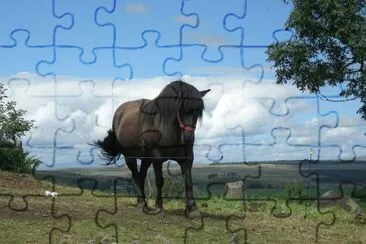 cheval