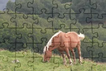 cheval
