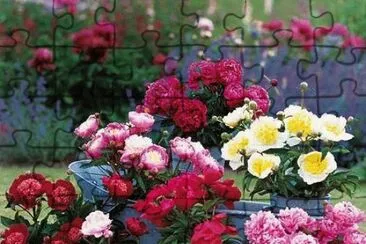 bouquets jigsaw puzzle