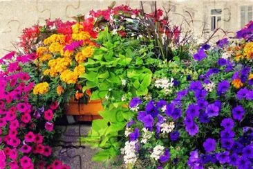 Pretty Colour Combo jigsaw puzzle