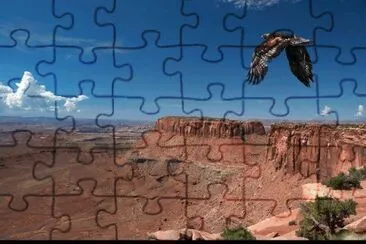 Deserto? jigsaw puzzle