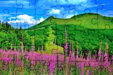 may21 jigsaw puzzle