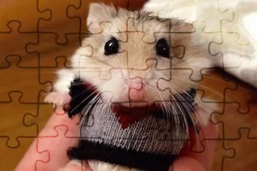 Percival o Hamster