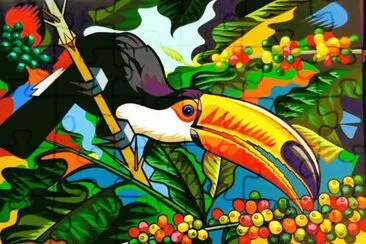 tucano