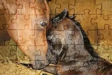 - carinho eterno! jigsaw puzzle