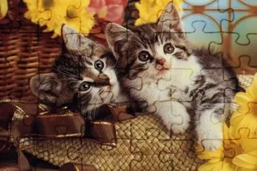 gatets jigsaw puzzle