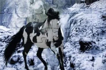 - magestoso,(oo4) jigsaw puzzle
