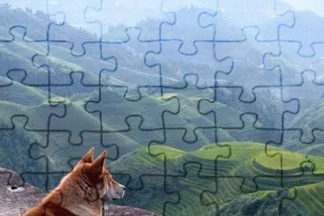CÃ£o pensativo jigsaw puzzle