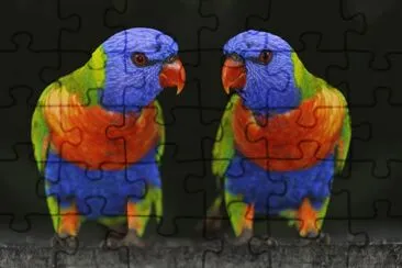 LOROS