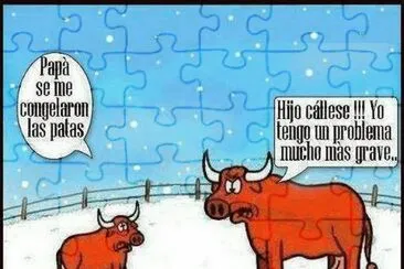 FrÃ­o