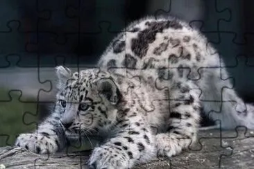 . jigsaw puzzle
