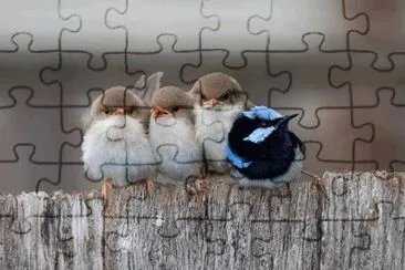 . jigsaw puzzle