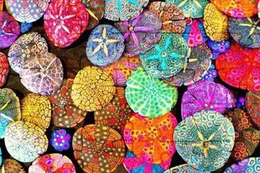 Sparkle Colours