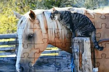 - quero o teu amor! jigsaw puzzle