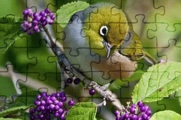 -oo2. jigsaw puzzle