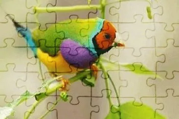 - sou colorido! jigsaw puzzle
