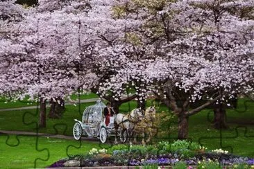 Primavera