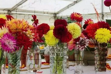 UK Flower Show jigsaw puzzle