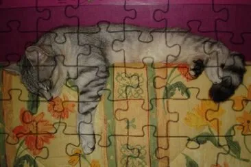 chat fatiguÃ© jigsaw puzzle