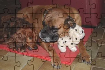 dÃ©gustation jigsaw puzzle