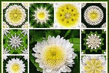 FaraÃ³n jigsaw puzzle