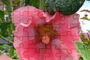  jigsaw puzzle