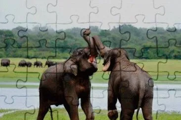 - tudo isso Ã© meu! jigsaw puzzle