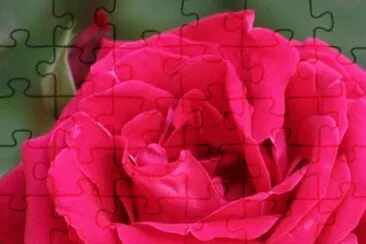  jigsaw puzzle