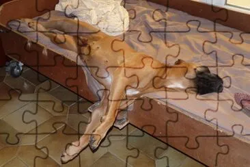Grosse fatigue pour elle !