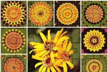 FaraÃ³n jigsaw puzzle
