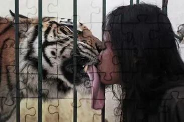 AMOR CON BARRERAS jigsaw puzzle