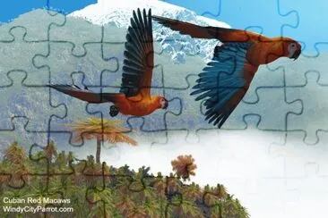 Araras jigsaw puzzle