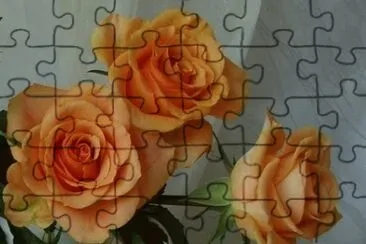 Roses jigsaw puzzle