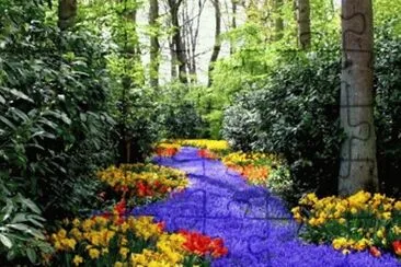 flowers jigsaw puzzle