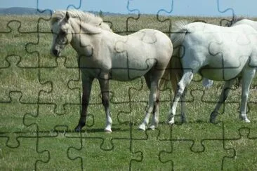  jigsaw puzzle