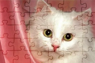 gatet jigsaw puzzle
