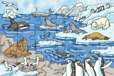 Talk plate  Animals at the North Pole jigsaw puzzle