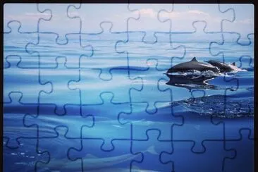 DELFINES