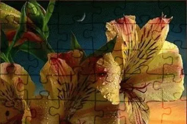 - bella. jigsaw puzzle