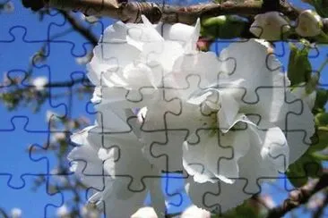 - voz do coraÃ§Ã£o jigsaw puzzle