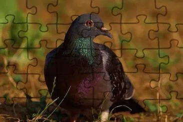. jigsaw puzzle